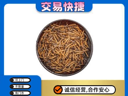 泰州靖江市回收散虫草